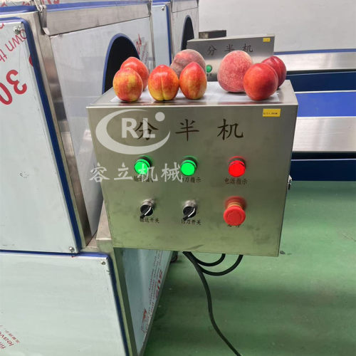 现货桃子切半机 输送式黄桃杏干劈半机 大产量蜜桃樱桃分半机