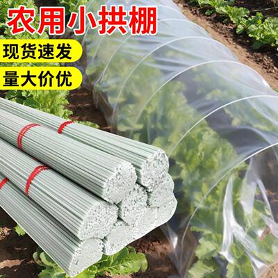 种菜支撑杆小拱棚拱杆弯管塑料