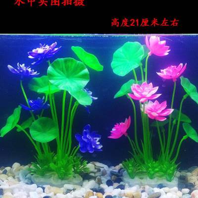 鱼池真荷花真水草鱼缸装饰水草水族箱造景塑料水草假水草鱼缸