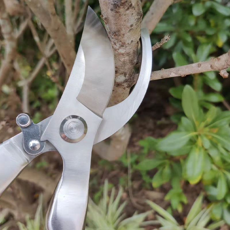 不锈钢强力树枝剪园林剪刀果树粗枝剪园艺修花盆景修枝剪花艺工具