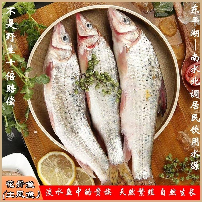 (净重)现杀 花骨鱼花菇鱼土凤鱼淡水鱼自然生长新鲜净膛发货
