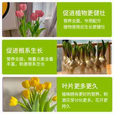 快速生根营养液水培植物通用型强力郁金香巴西木快速壮苗粉专用