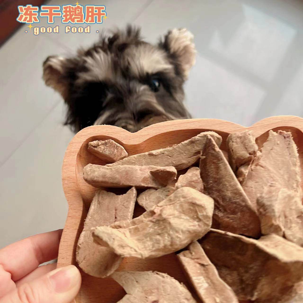 自制宠物冻干鹅肝零食狗狗猫咪补血补铁微量元素维生素营养主食,宠物/宠物食品及用品,狗冻干零食,淘宝优惠券,粉丝福利购,淘宝优惠卷