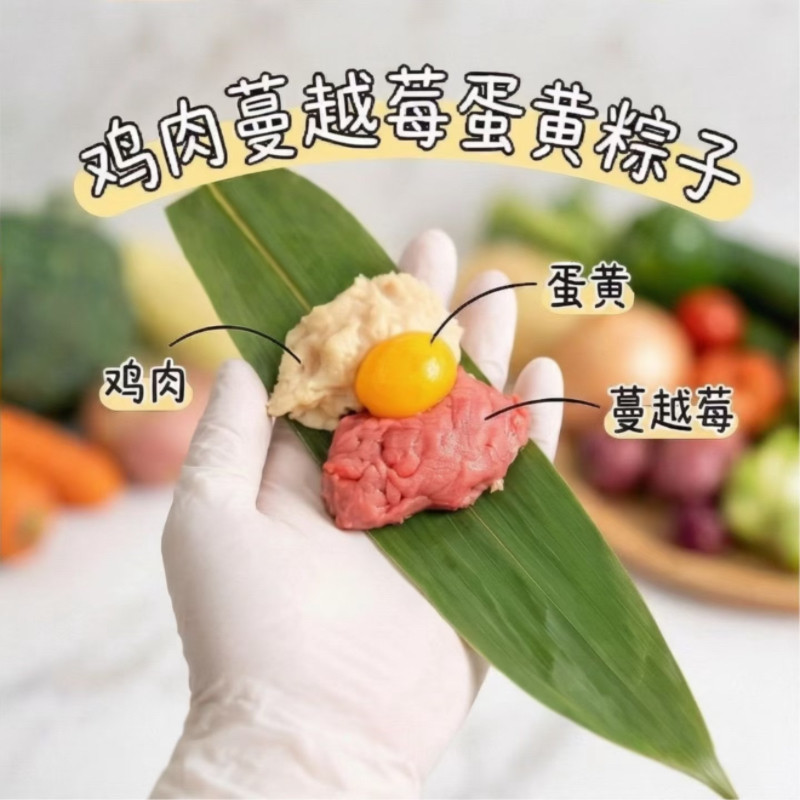 自制狗狗鲜食湿粮宠物粽子猫咪湿粮粽子手工自制鲜肉粽子端午节狗
