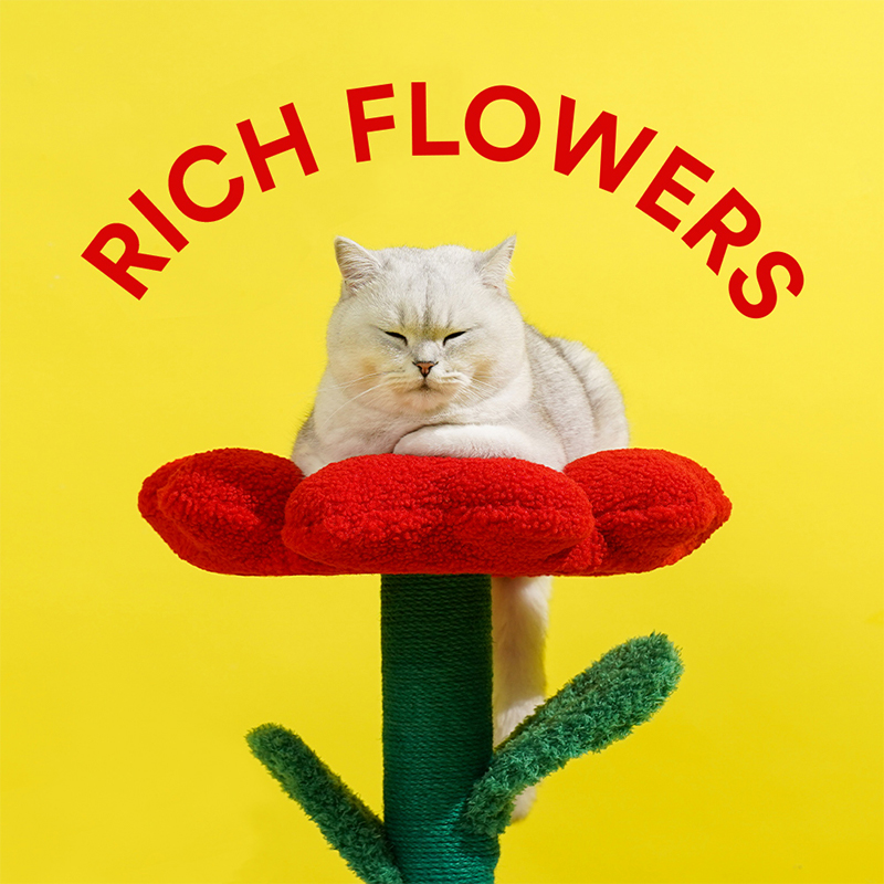 zeze有钱花猫窝保暖猫咪屋全封闭猫屋抓柱一体柔软透气宠物窝别墅