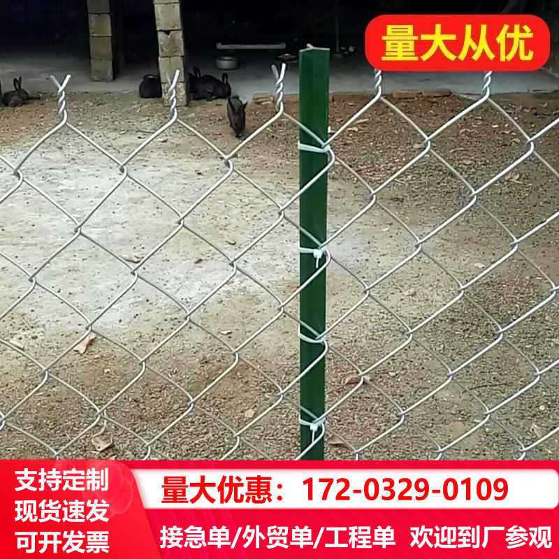 镀锌钢丝网防锈铁网格网