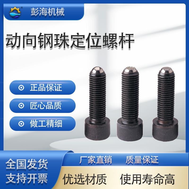 PT17A动向钢珠螺杆工装夹具