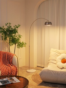 现代简约意大利落地灯客厅灯卧室麻将室专用灯钓鱼灯台灯护眼Led