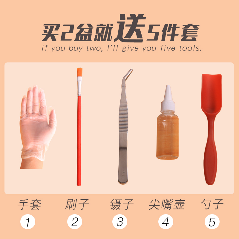 仙人掌盆栽多肉植物仙人球小盆栽室内开花防辐射绿植桌面电脑玉露