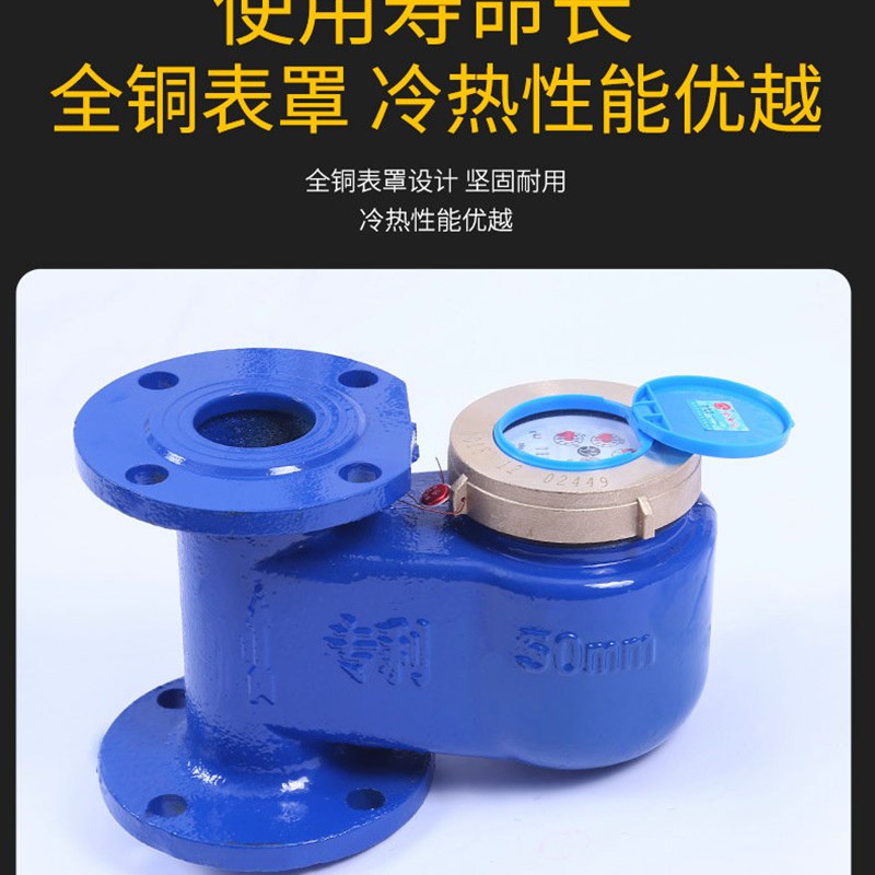 铸铁立式法兰水表 冷热水竖式法兰水表DN50 65 80 100mm 2寸包邮