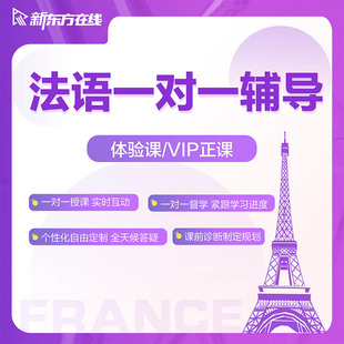 新东方法语一对一线上网课家教零基础教学直播课程DELF考试留学