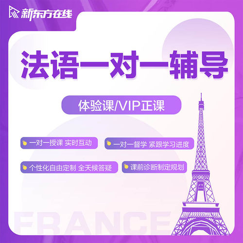 新东方法语一对一线上网课家教零基础教学直播课程DELF考试留学