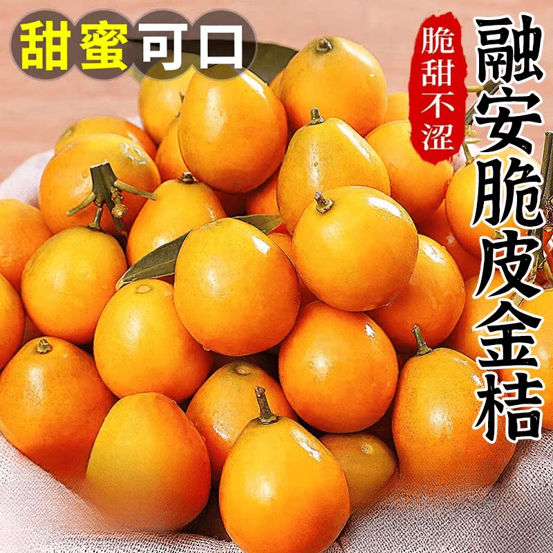 广西融安脆蜜金柑新鲜水果当季正宗脆密金柑冰糖金桔高山脆金桔子