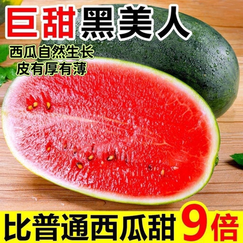 越南黑美人西瓜精品多汁新鲜水果脆甜当季水果新鲜手掰黑皮大西瓜