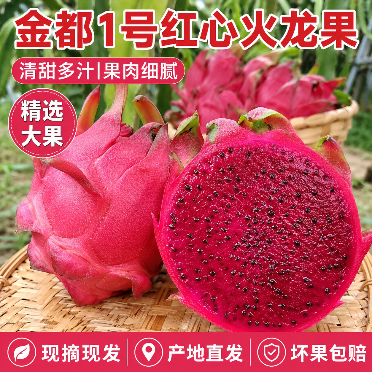 广西金都一号红心火龙果红肉宝蜜新鲜孕妇水果当季现摘红心火龙果