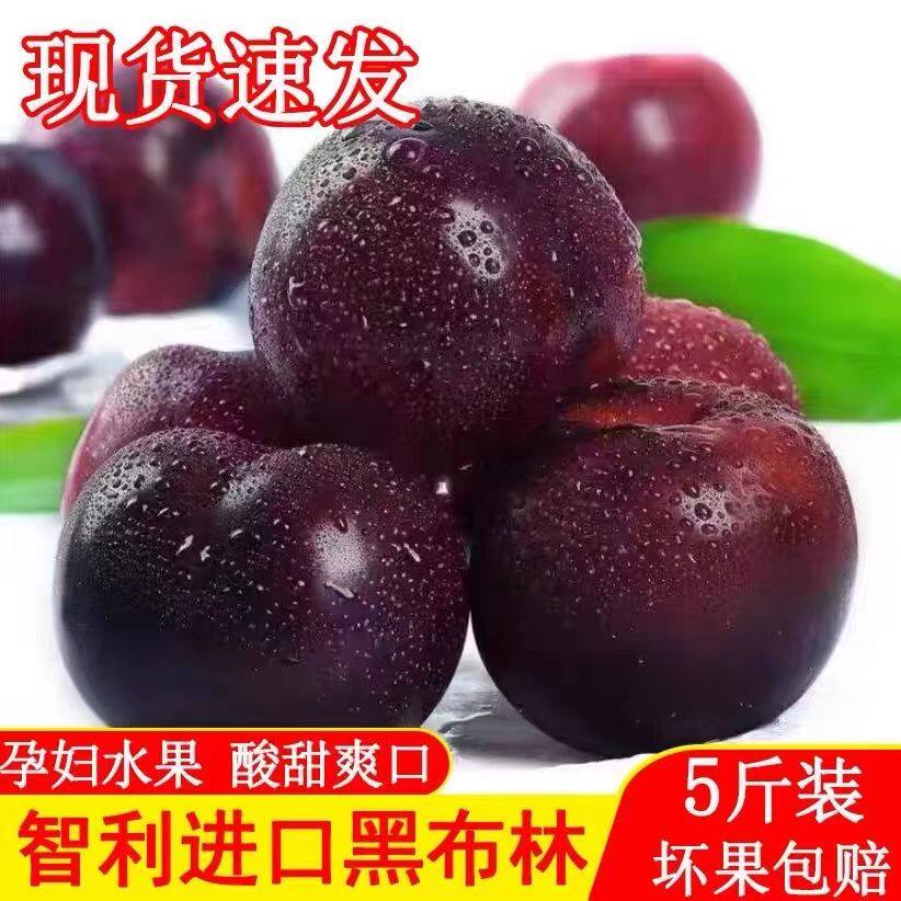 正宗黑布林大李子新鲜黑金刚恐龙蛋脆甜李子大果现摘孕妇水果李子