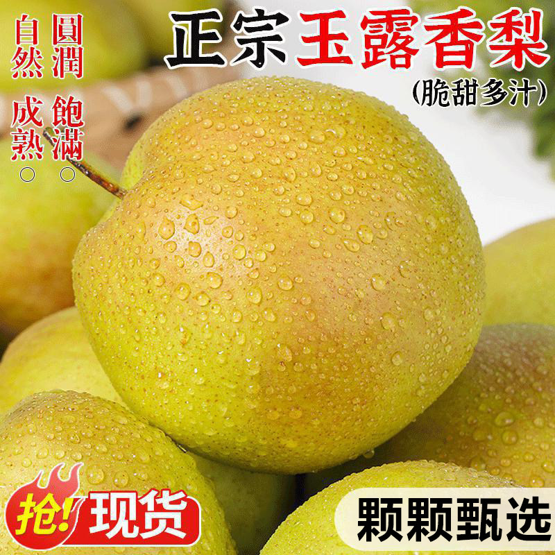 新鲜玉露香梨当季水果梨子脆甜薄皮应季山西酥梨一整箱包邮非雪梨