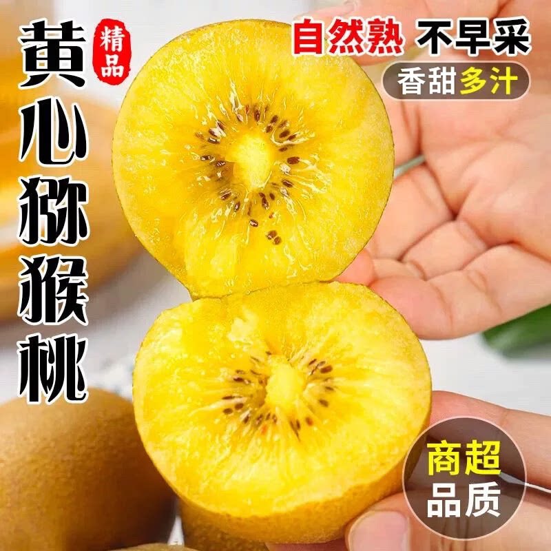 四川蒲江黄心猕猴桃奇异果新鲜水果黄皮猕猴桃整箱弥猴桃可选顺丰