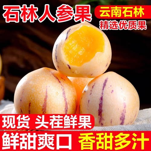 正宗云南石林高山人参果圆果奶香清甜薄皮爆汁整箱生鲜现摘人生果