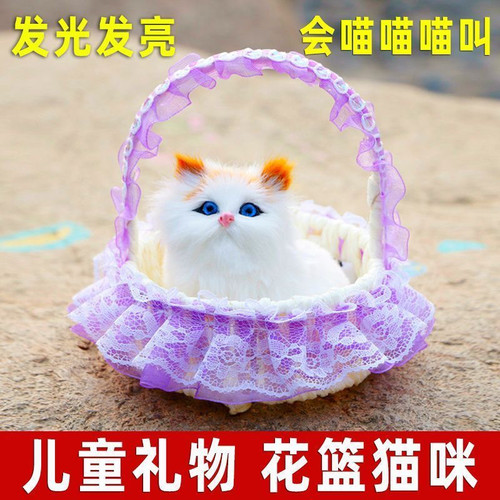 发光带灯小猫咪花篮玩具儿童毛绒玩偶女孩生日花篮猫咪圣诞礼物