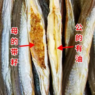 丹东特产黄海大银鱼干带籽小青鱼干大油滚子沙里钻淡干海鲜