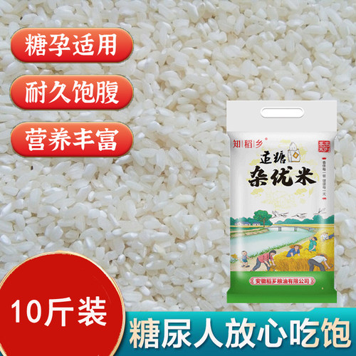 低升糖尿控糖人群主食大米知稻乡杂交米5kg早稻米低GI适糖米10斤
