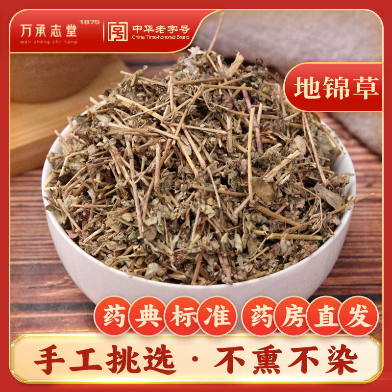 地锦草中药材50克非野生斑地锦草花盖地血见愁红丝草奶汁草奶浆草