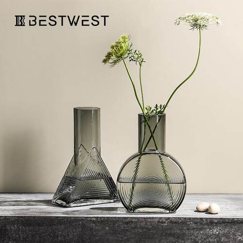 Best west 创意家居客厅装饰品玻璃花瓶创意不规则干花插花瓶摆件
