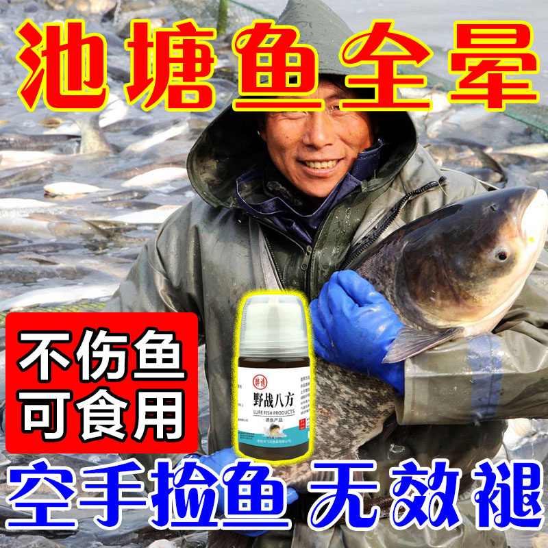 特效醉鱼药醉鱼灵【一秒晕鱼】空手抓鱼虾江河野钓专用特效不伤鱼