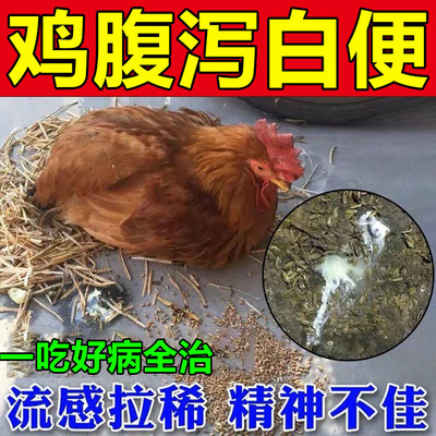 鸡病全治养鸡专用药鸡瘟禽类流感冒发烧咳嗽鸡鸭鹅抗病毒特效药