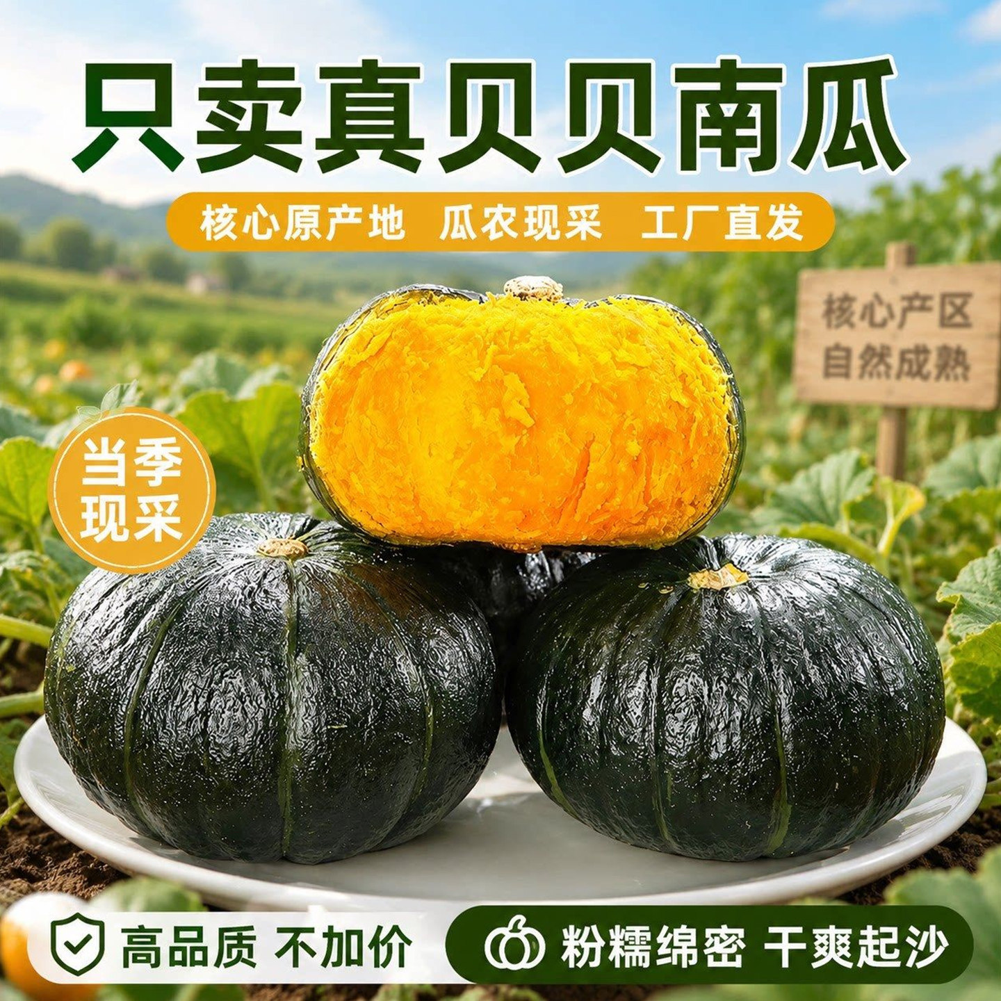 贝贝南瓜正宗板栗味惠和老南瓜5斤香甜粉糯婴辅食蔬菜新鲜小南瓜