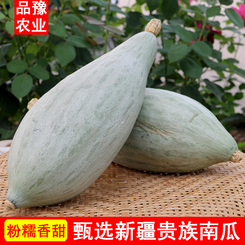 正宗新疆贵族南瓜沙漠银板栗