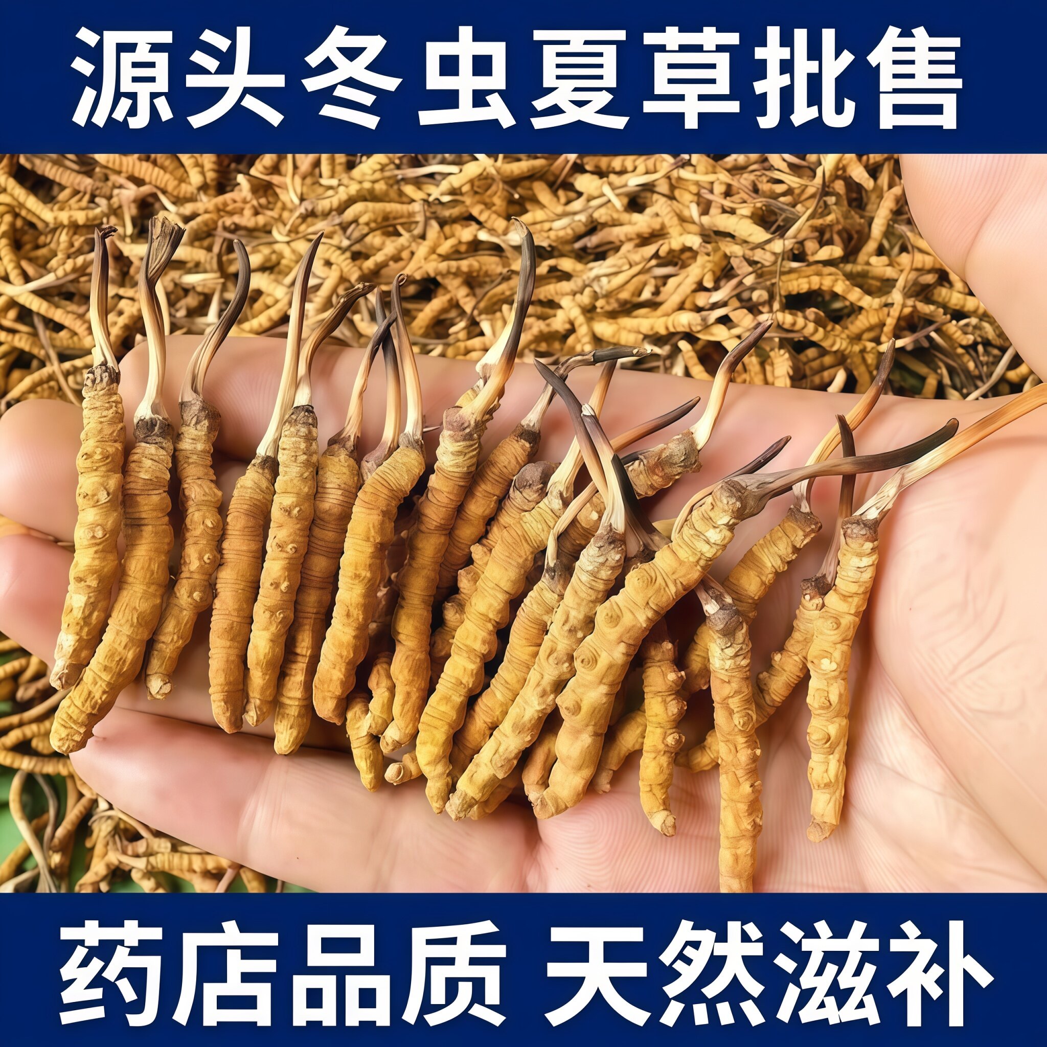匀康堂4根/克冬虫夏草源头批销藏区原生营养药店品质天然滋补药材
