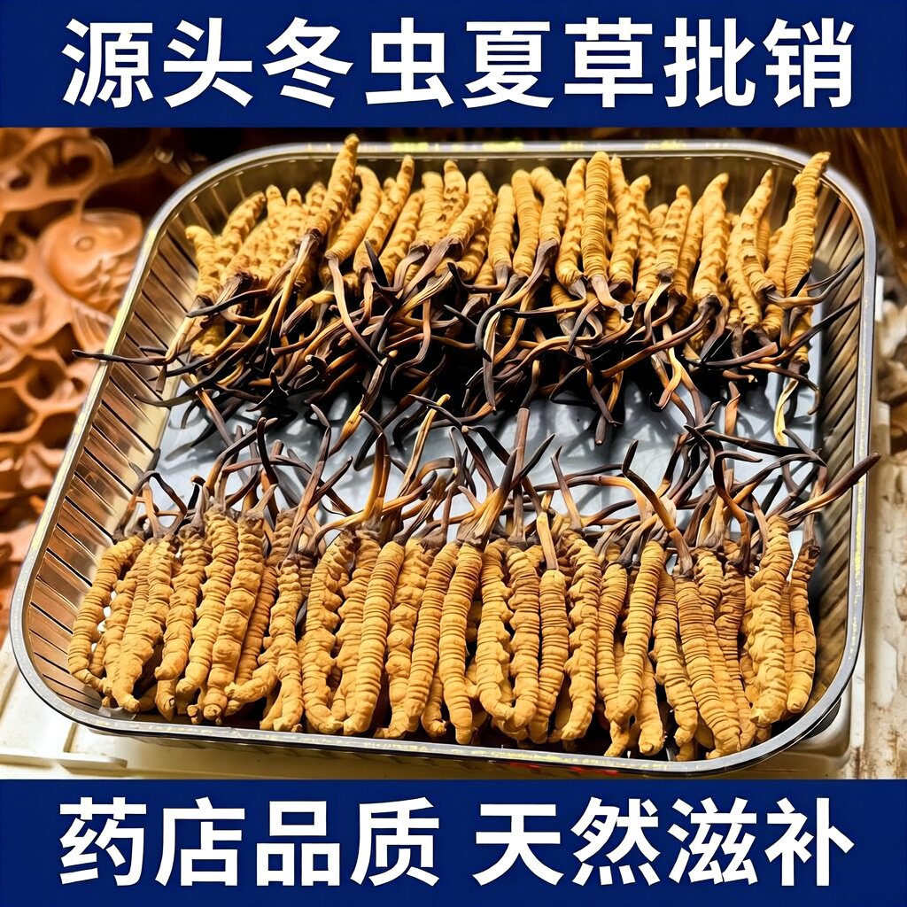 匀康堂5根/克冬虫夏草源头批销藏区原生营养药店品质天然滋补药材