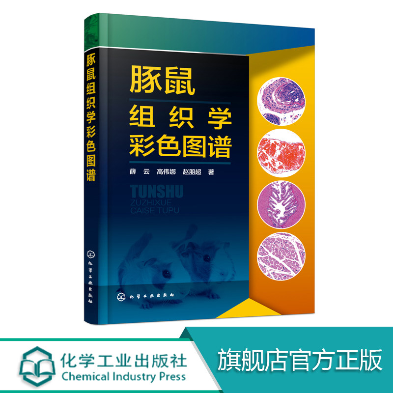 豚鼠组织学彩色图谱 豚鼠组织学图谱书籍 豚鼠全身常见组织学结构 豚鼠科学知识 被皮运动系统消化呼吸系统及生殖系统等器官组织