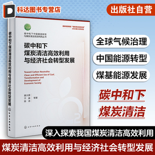 碳中和下煤炭清潔高效利用與經濟社會轉型發展 碳中和目標 全球氣候治理及能源轉型進展 政府相關管理部門政策研究者參考 姜大霖