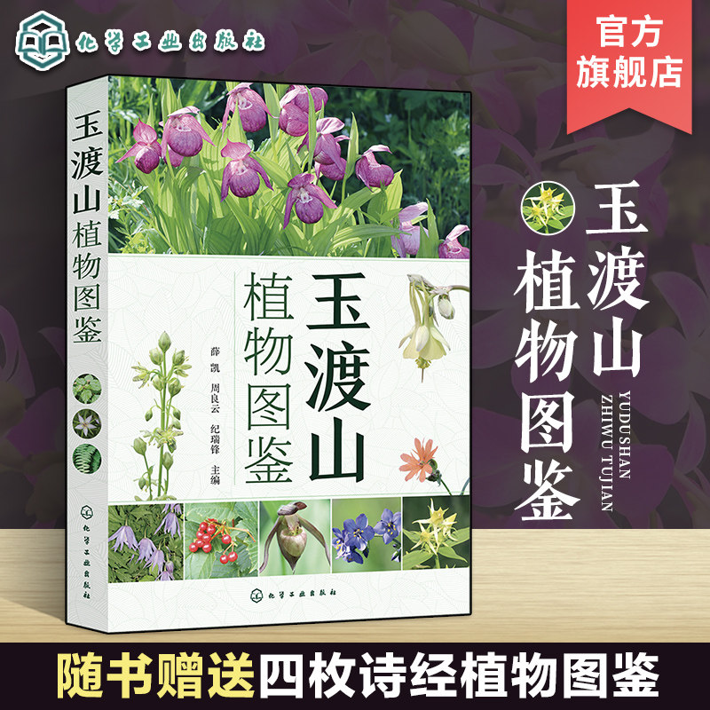 玉渡山植物图鉴 500余种玉渡山植物高清图鉴 野花植物图鉴 玉渡山野生植物轻松查 玉渡山植物辨别图册 中国植物志 常见植物辨别