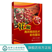 花椒苗木繁育建园土壤管理肥料管理水分管理树体调节冻害 等 发生及预防花果管理病虫害防治书 王田利 花椒高效栽培技术彩色图说