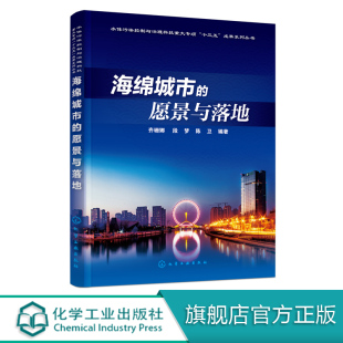 海绵城市建设综合城市水管理海绵城市规划优秀案例 海绵城市 城市建设研究书 齐珊娜 海绵城市建设管理湿地公园建设书 愿景与落地