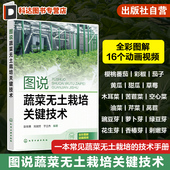 樱桃番茄彩椒茄子黄瓜草莓油菜 一本常见蔬菜无土栽培全彩动画技术手册 无土栽培爱好者阅读 彭世勇 图说蔬菜无土栽培关键技术