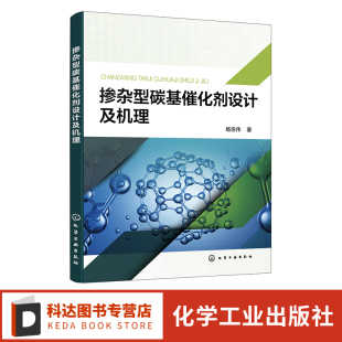 通过密度泛函理论计算研究 掺杂型碳基催化剂设计及机理 化学工业等领域关键作用 环境 四类新型掺杂型碳基催化剂书籍 催化在能源