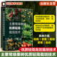 备果园采摘装 主要常绿果树优质轻简栽培技术 果园运输装 柑橘香蕉荔枝草莓枇杷 备 系统介绍我国主要常绿果树优质轻简高效关键技术