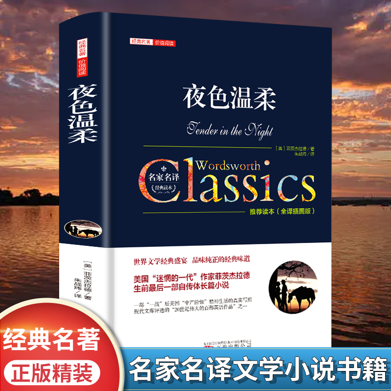 夜色温柔菲茨杰拉德原著正版包邮中文全译本完整无删减 初高中学生青少年成人课外阅读书籍 世界经典文学名著外国小说畅销书排行榜