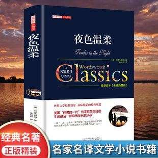 世界经典 夜色温柔菲茨杰拉德原著正版 初高中学生青少年成人课外阅读书籍 中文全译本完整无删减 文学名著外国小说畅销书排行榜 包邮