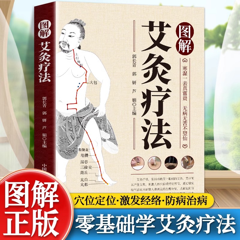 图解艾灸疗法中医适宜技术操作入门中医启蒙自学穴位艾灸养生零基础入门临床艾草艾灸疗法治疗常见病祛消百病临床针灸按摩医师参考