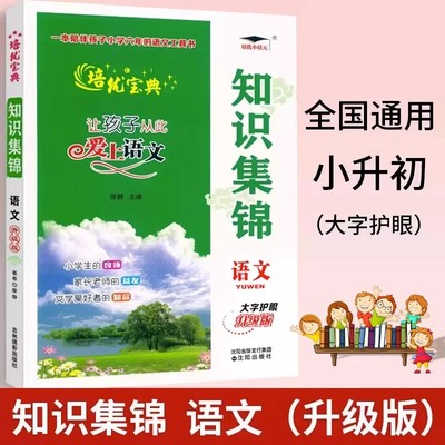 小学语文知识集锦 人教版小升初大集结小学生二年级三五六年级四年级知识基础归纳总结总复习资料大全课本1-6教辅工具书作文培优