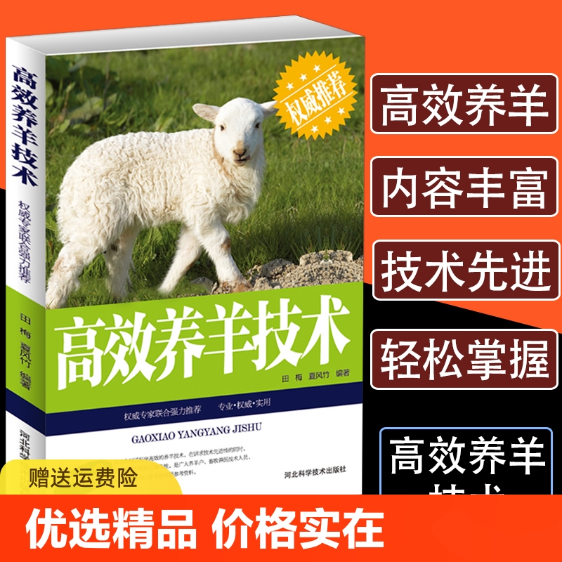 正版速发 高效养羊技术 羊病治疗全书 养羊技术书籍大全 鉴别诊断图谱 科学生态饲养 管理动物医学饲料配方 快速诊断预防羊病 yzx