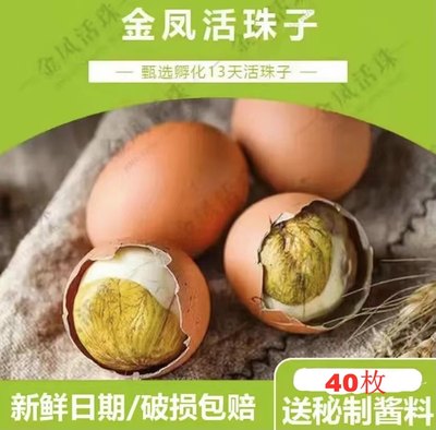 瑾贝金凤活珠子40枚新鲜13天鸡胚蛋五香即食熟毛蛋凤凰蛋钢化蛋