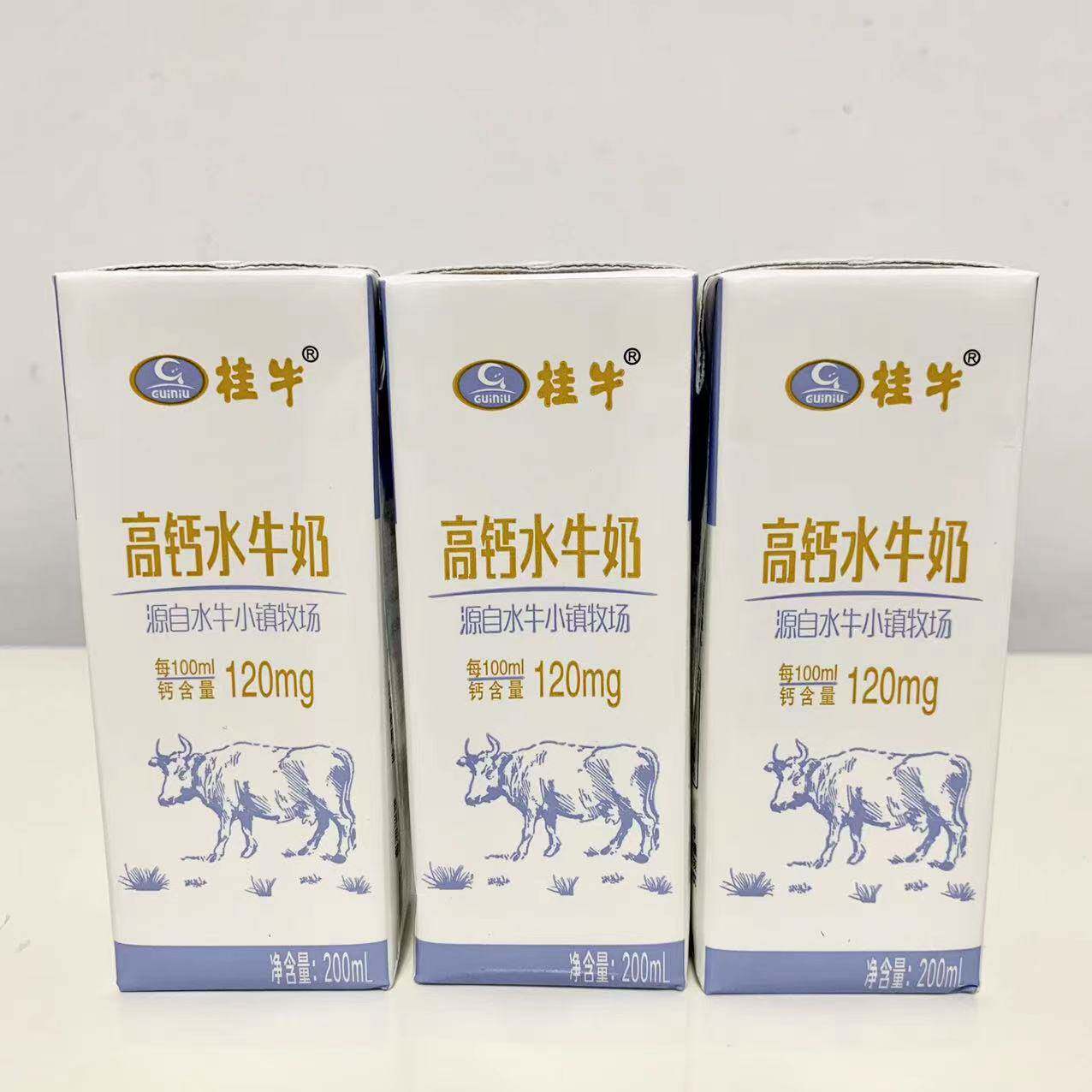 桂牛高钙水牛奶200ml盒装整箱儿童学生营养早餐奶实惠装包邮