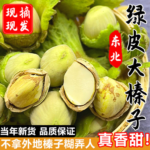 东北新鲜绿皮大榛子水仁辽宁达维青皮坚果当年新货